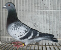 oi16ԁuQSc`QUUQU@abv씼Z)RG3333H7ʒnm3748H4ʔ(h[n[~NClfBN)~_cĒnN2056H3