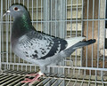 oi28ԁuQSc`QUUUS	abvvsu Xvbgn[tfoPWOUHQʃubNRSRWHQʓܔ̑SZ픵