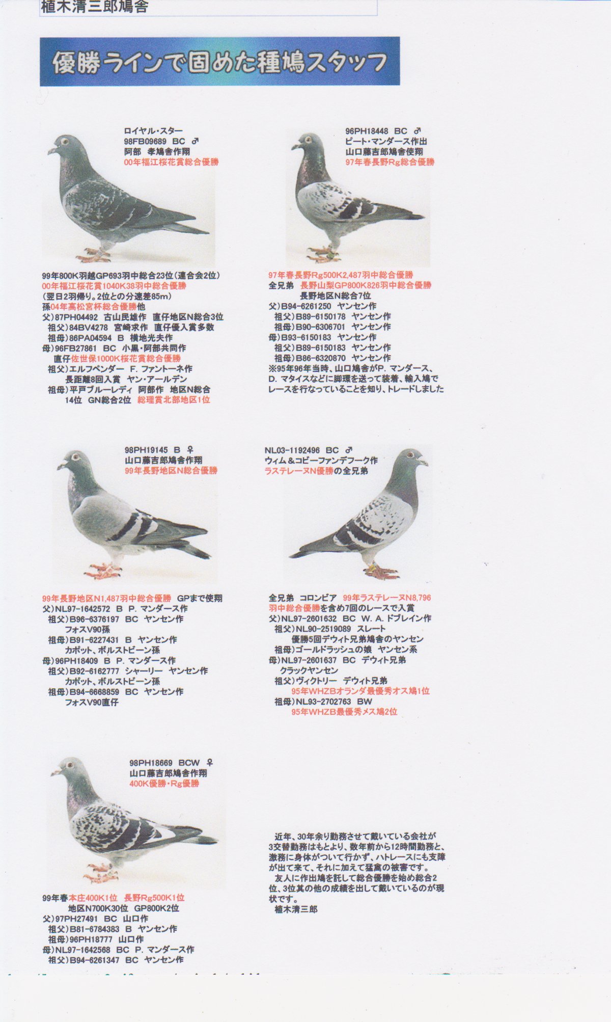 レース 鳩 商店 街