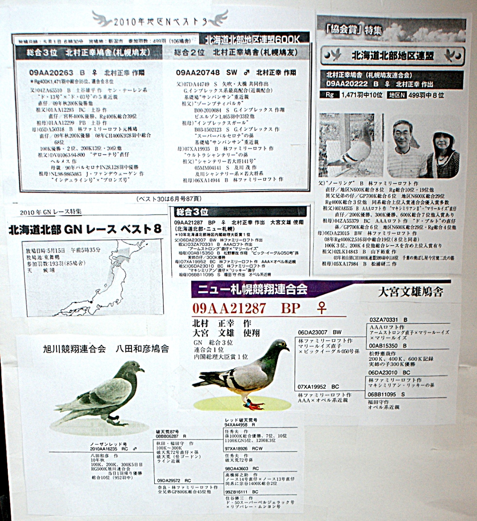 レース鳩モールオークション - 「チャリティ」諸事情で他鳩舎で実績