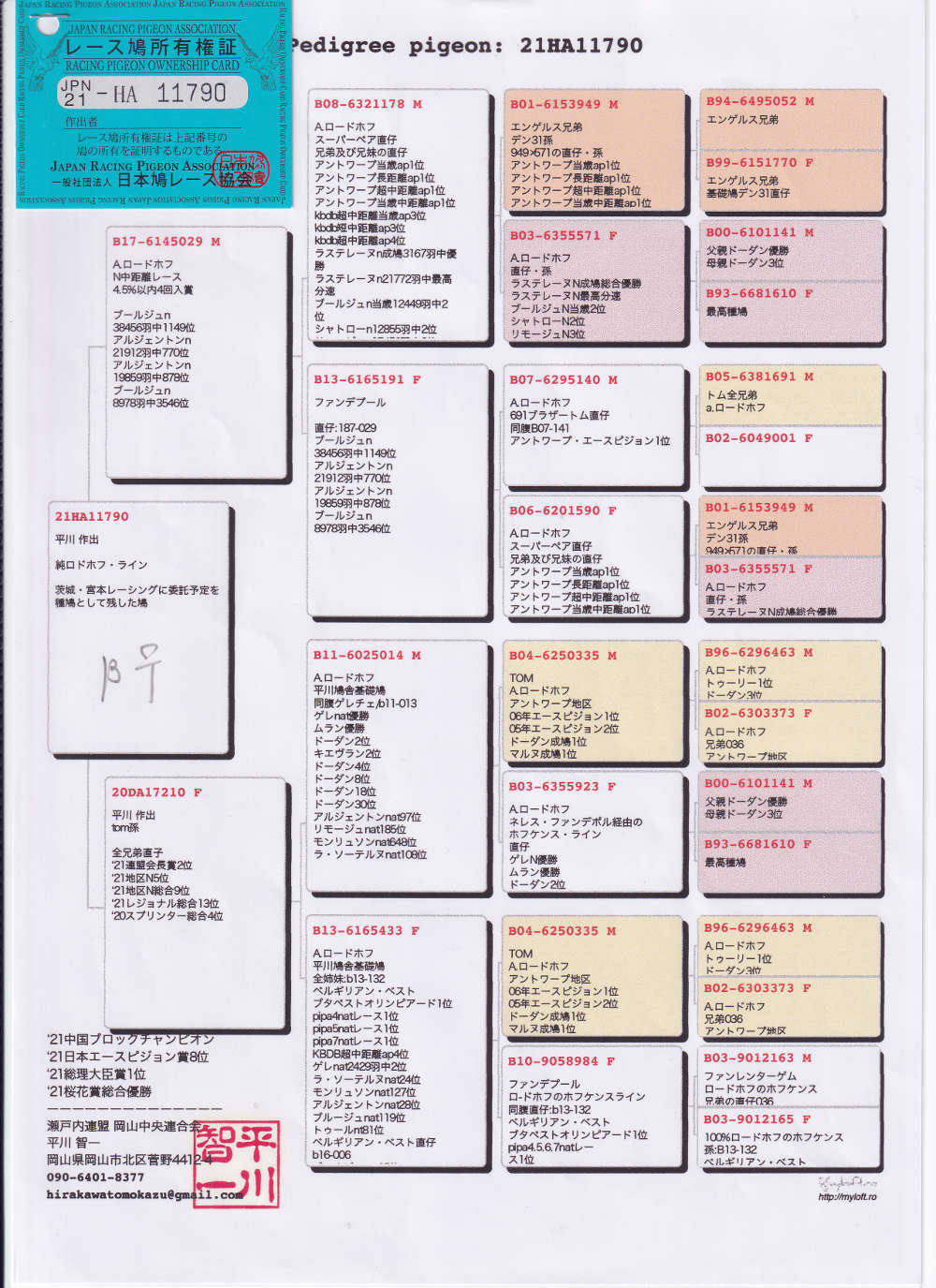 レース鳩モールオークション 出品鳩 ２１ｄａ１１７９０ ｂ 平川智一鳩舎作純ロードホフ系 アルジェントンｎ２１９１２羽中７７０位等４回入賞 トム号直仔 直娘