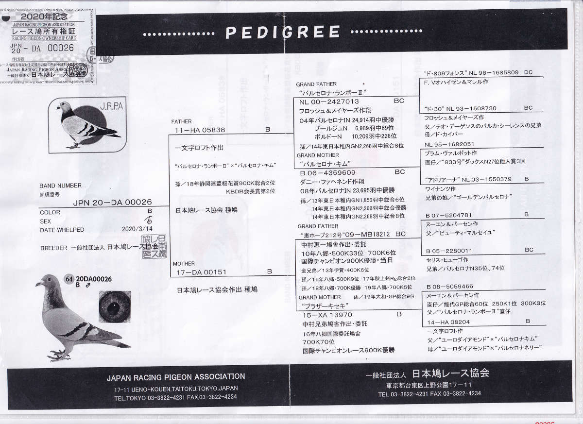 レース鳩記録器 ベンジングエキスプレス 一式 - 鳥用品