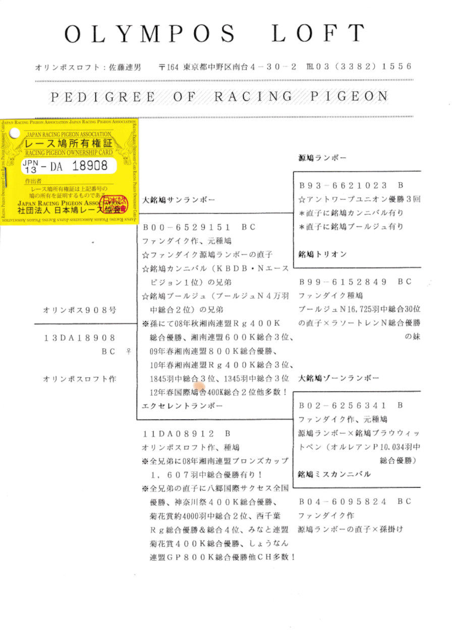 レース鳩モールオークション - 出品鳩♀3番「13DA18908