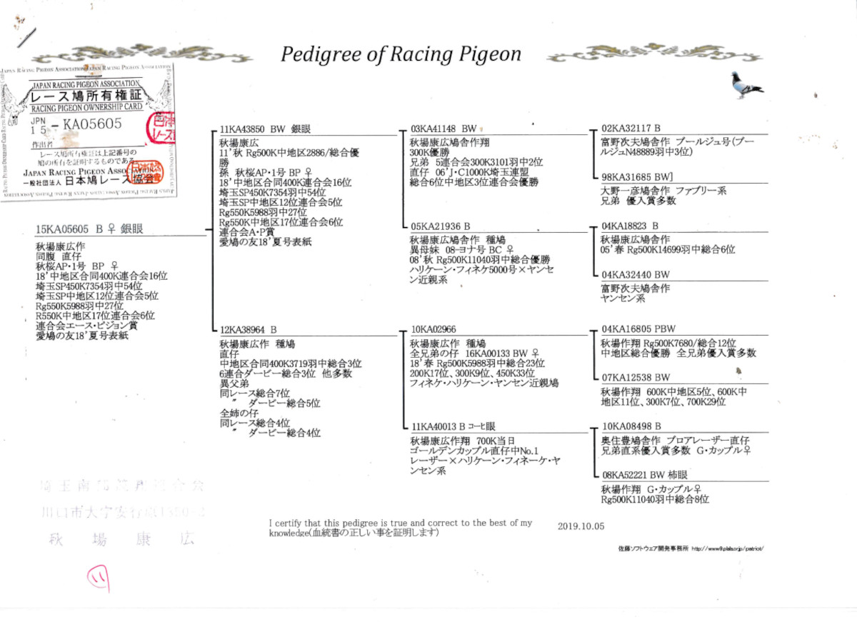 【中古】 重賞レース総なめ勝負馬券 連・単・複オールＯＫ！ ’９０・’９１年版/リヨン社/千葉亘 レース鳩モールオークション - 出品鳩♀10番