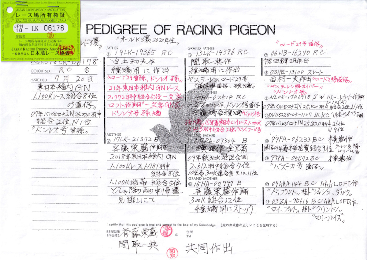 銅製:夫婦鳩(小判台付) 銅製:夫婦鳩(小判台付)