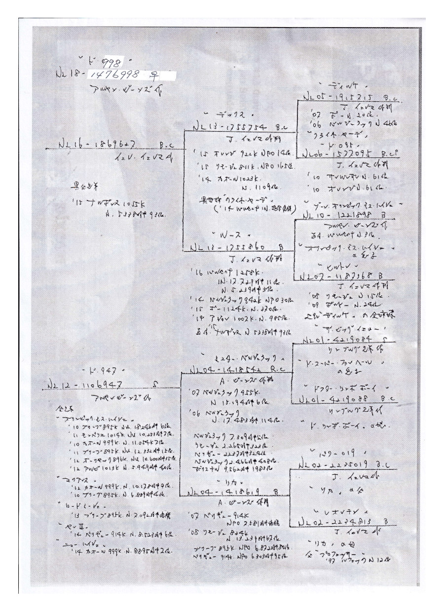 【03鳩ページ①】 エドワード・グリーン ドーバー|DOVER ラスト66/Dウィズ BLACK U