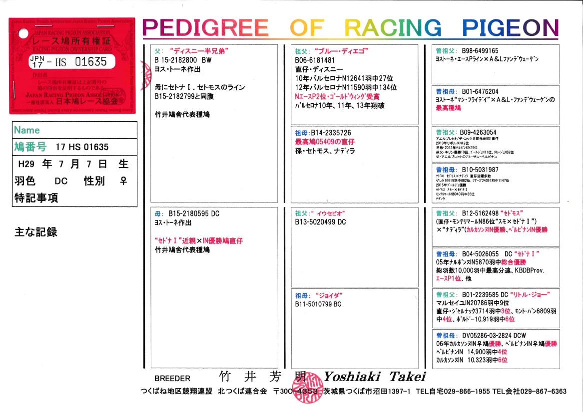 ❱z-専用出品❰　ストーリー代走　163連勝保証付き Amazon | 蔵出し 希少 未組み立て 京商 KYOSHO 1/10 4WD
