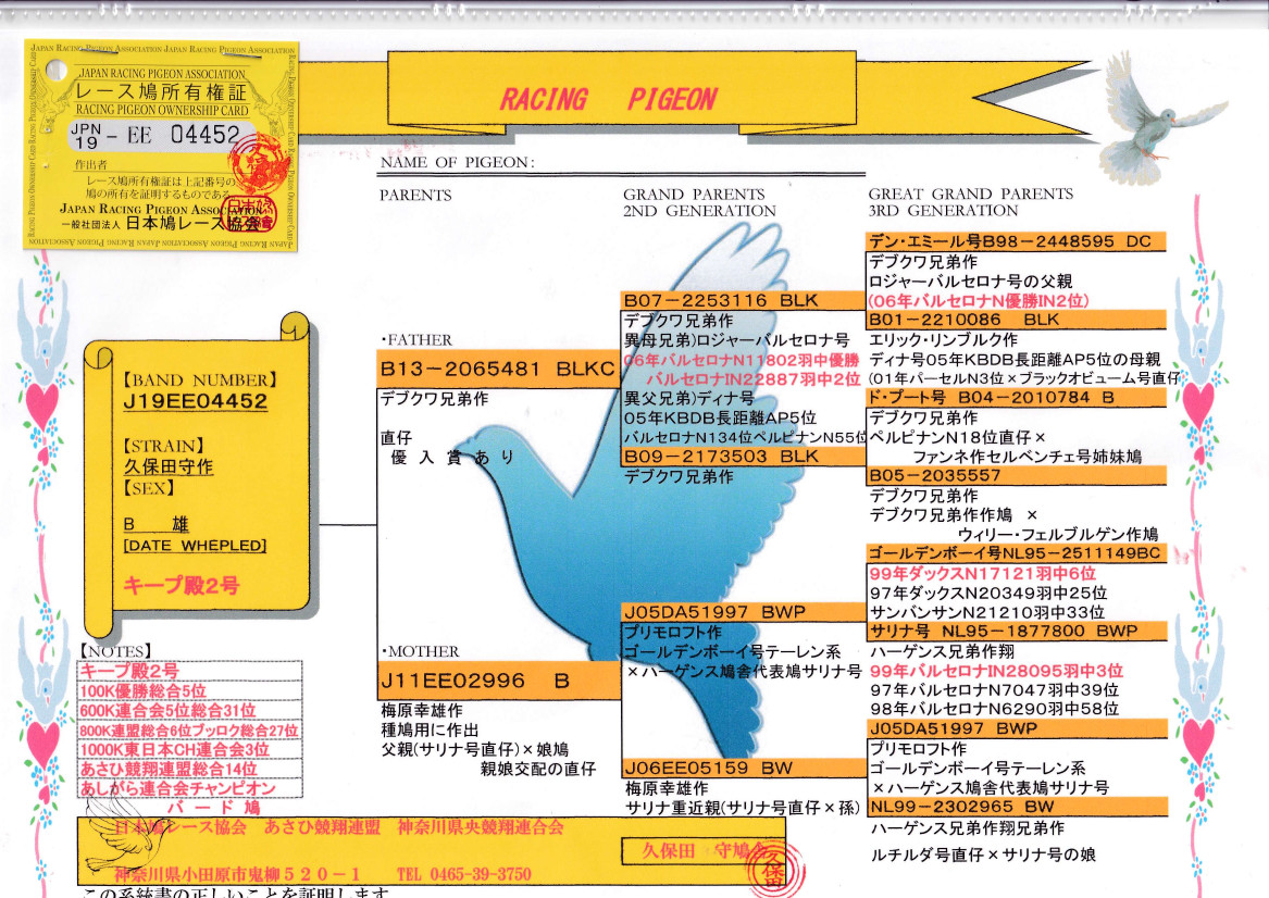 【中古】 豪邸馬券師六人衆はこう買う！ ’９８春のＧ１　９連戦  /東邦出版/Ｔｏｈｏ馬券大学編集部 中古】 豪邸馬券師六人衆はこう買う！ '98春のG1 9連戦 /東邦