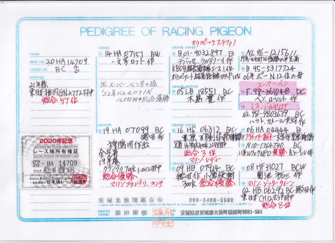LeLis 掛け軸　戸田北遥 作　南天小舎 LeLis 掛け軸 戸田北遥 作 南天小舎 掛軸・新画の一覧｜古