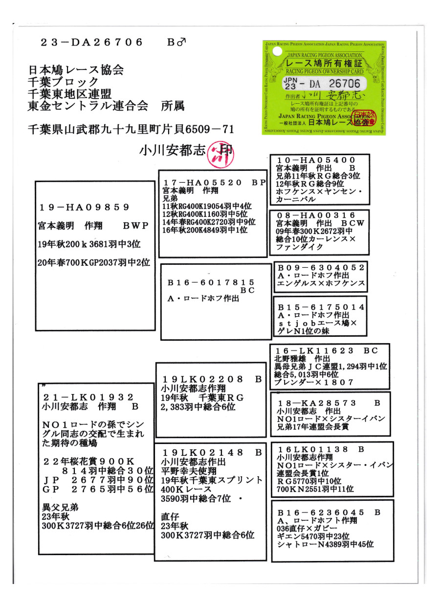 お値下げしました】グラハム・クラーク/平和の鳩（美品、サイン