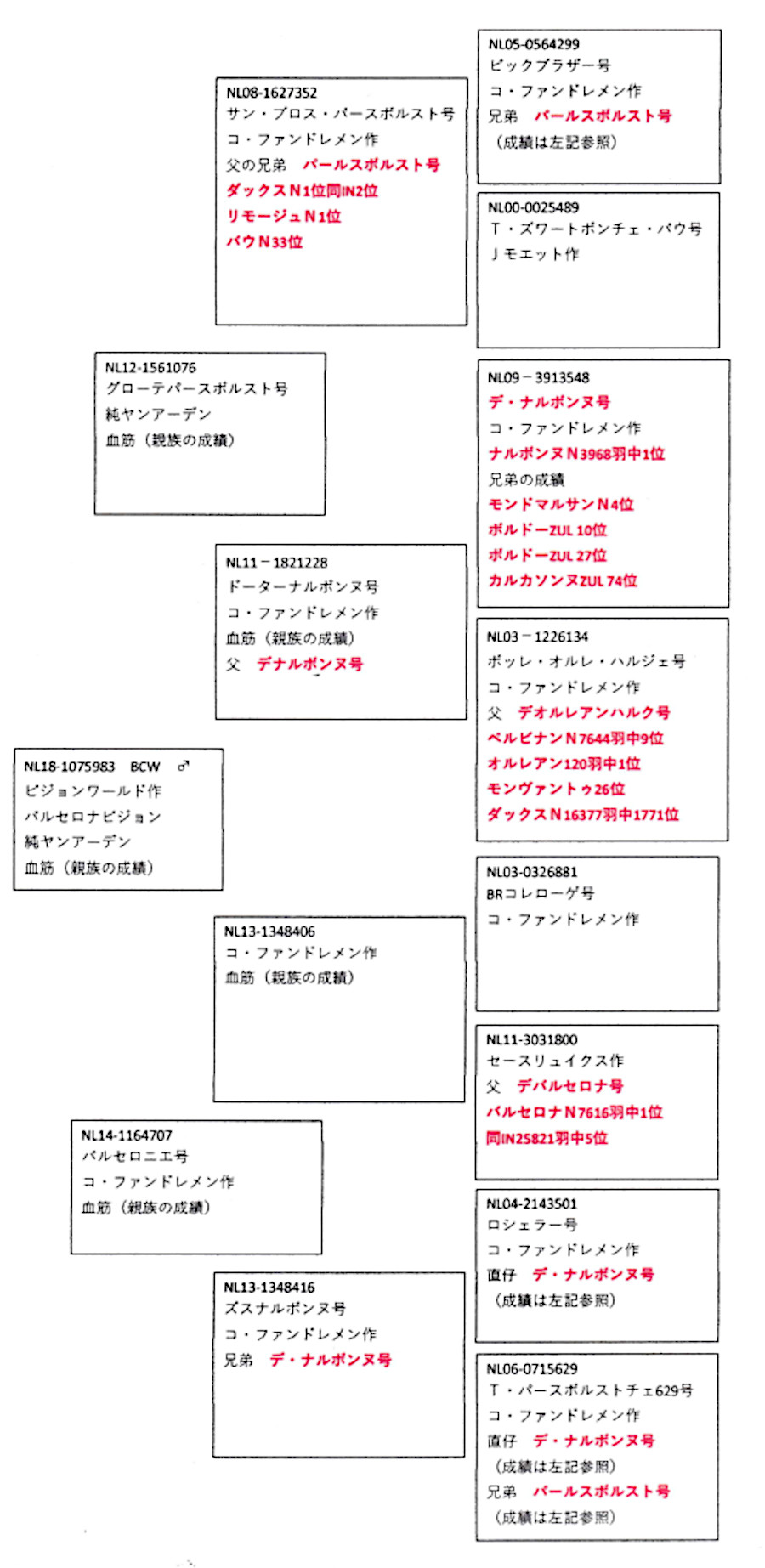 レース鳩モールオークション - 出品鳩♂19番「NL18