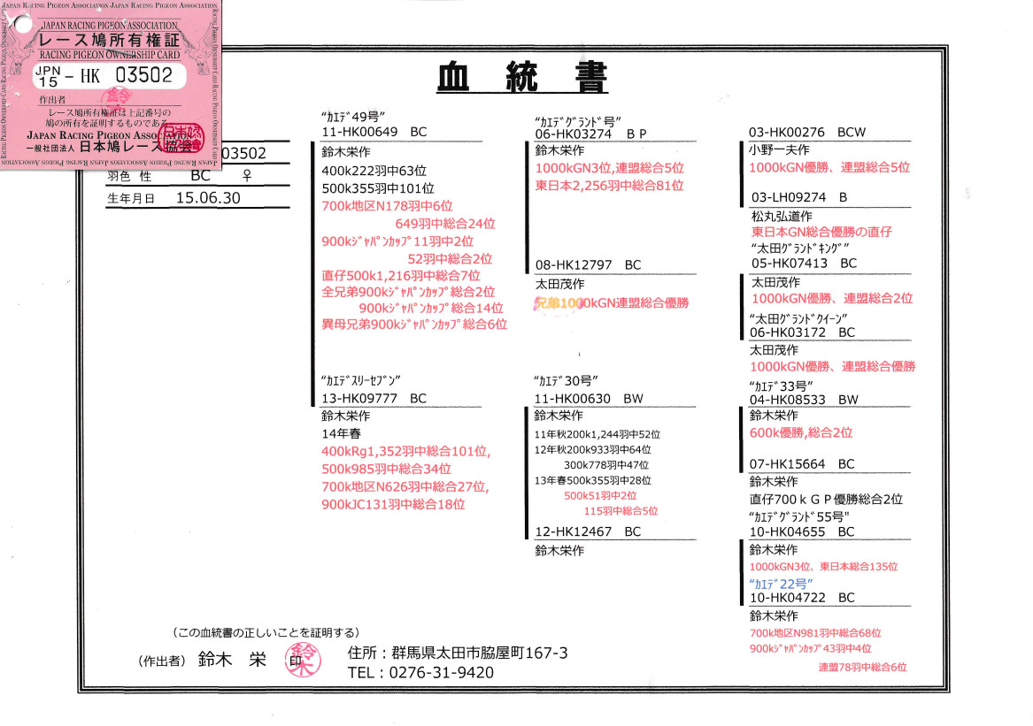 レース鳩モールオークション - 速決・出品鳩 レース鳩モールオークション - 速決・出品鳩