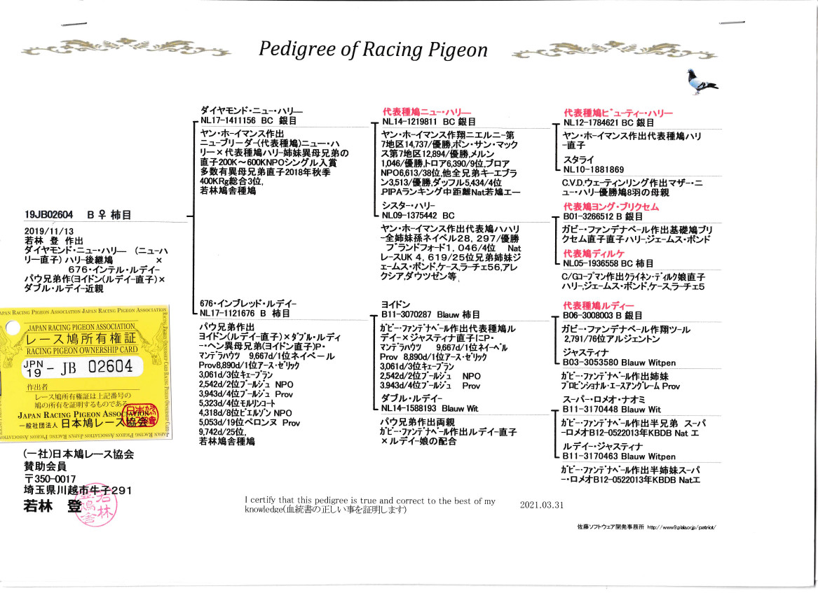 03鳩ページ バードパレストレイシート40│マルカンの製品一覧｜ペット用品