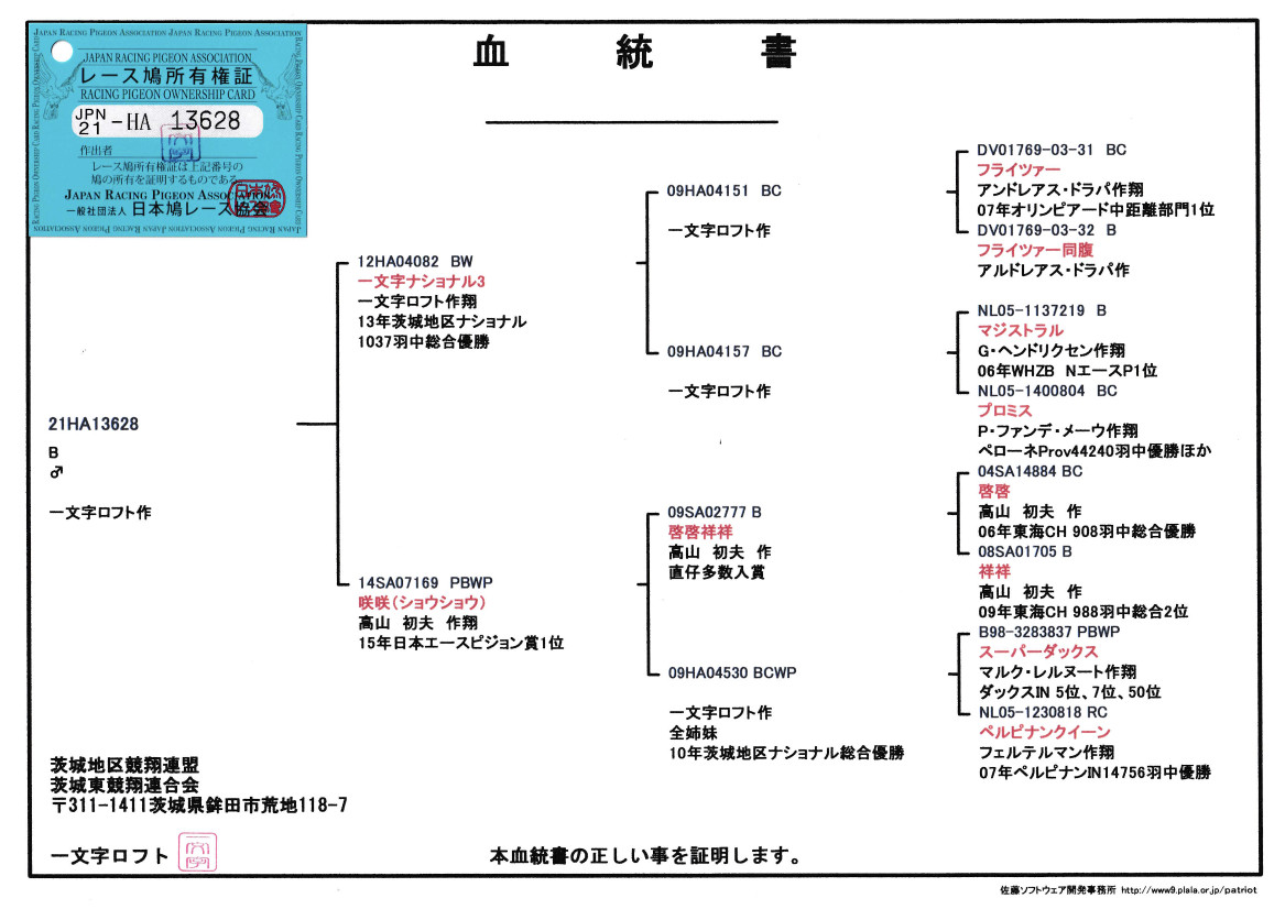 レース鳩モールオークション - 出品鳩「21HA13628 B 