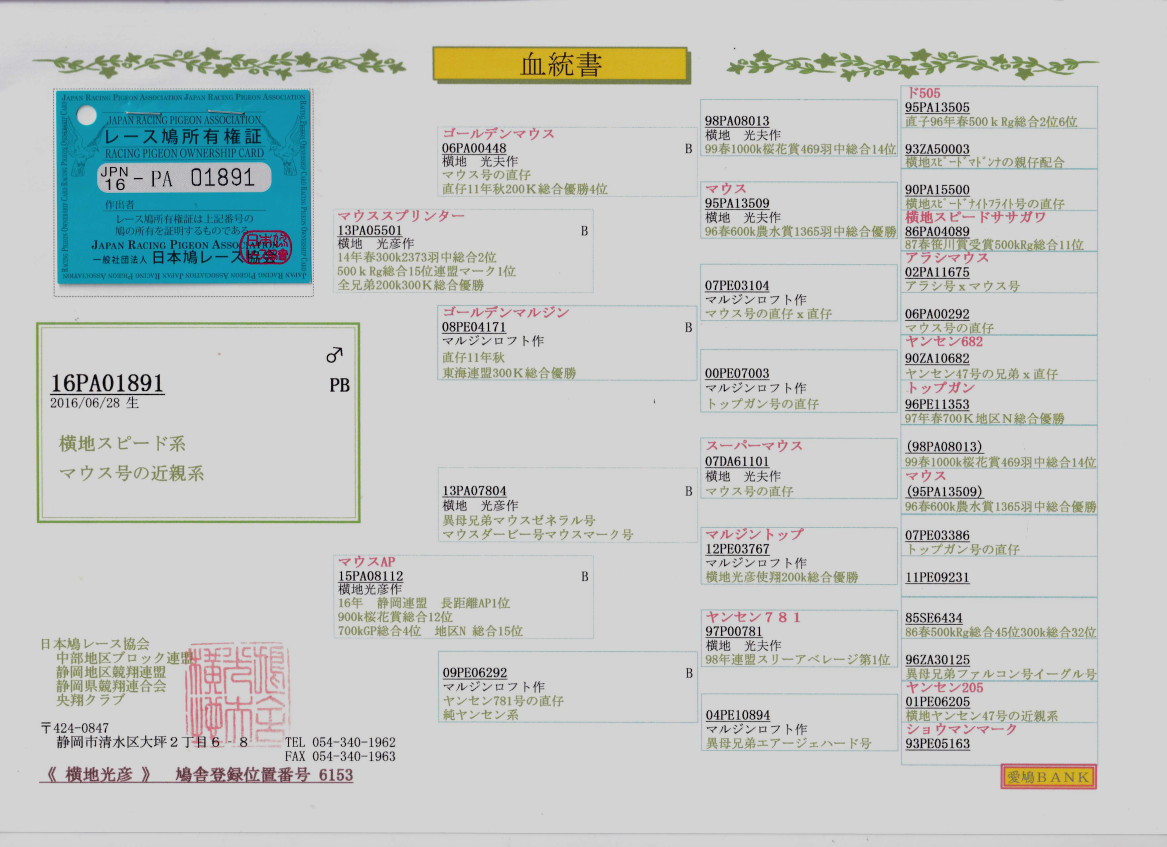 レース鳩モールオークション - 出品鳩♂13番アトムギガ号の父