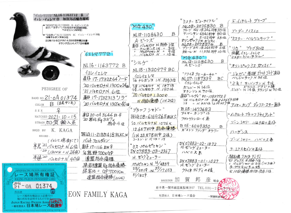 Julverne / Coulonneux 伝書鳩飼育家 Julverne / Coulonneux 伝書鳩飼育家