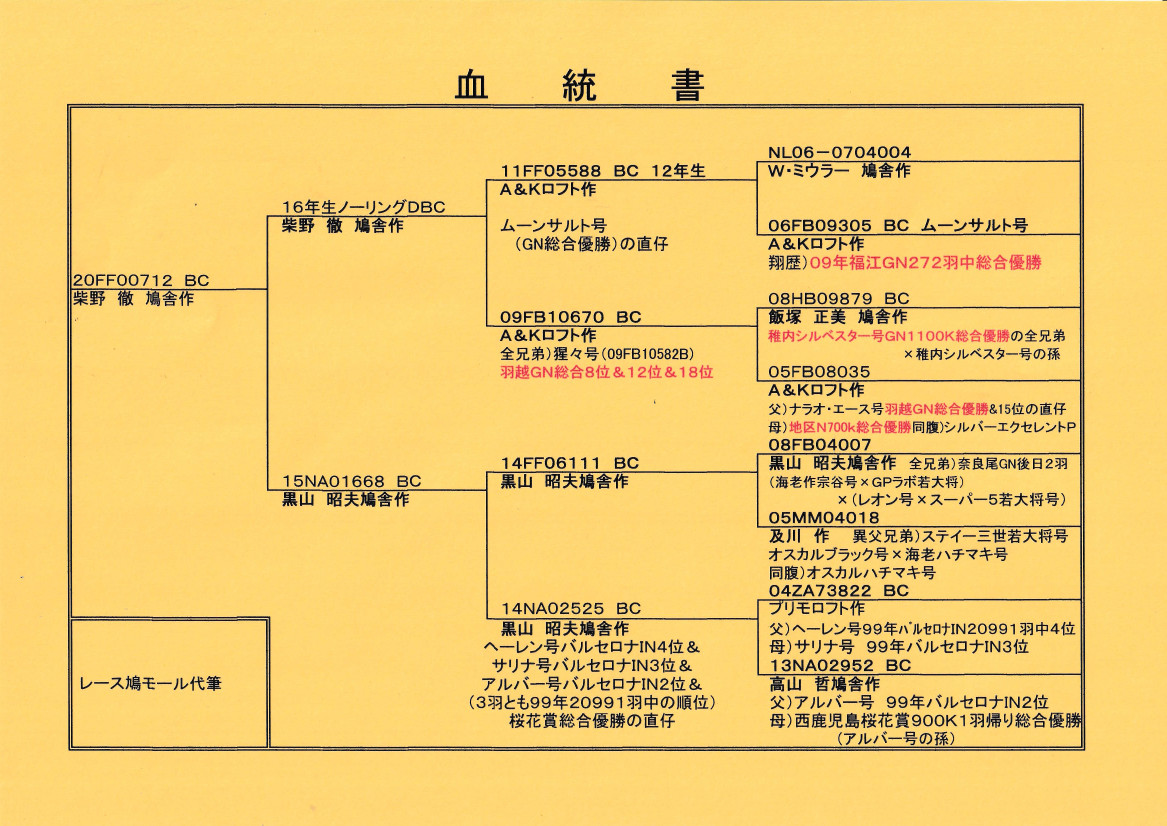 銅製:夫婦鳩(小判台付) Amazon｜POPETPOP 鳩 扉 檻 鳥 入口 扉 鳥 小屋 扉 金属 扉