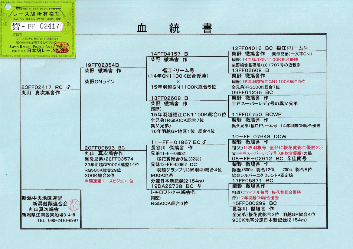 Amazon.co.jp: ふれあい しぜん図鑑 全4冊セット : 学習研究社: 本