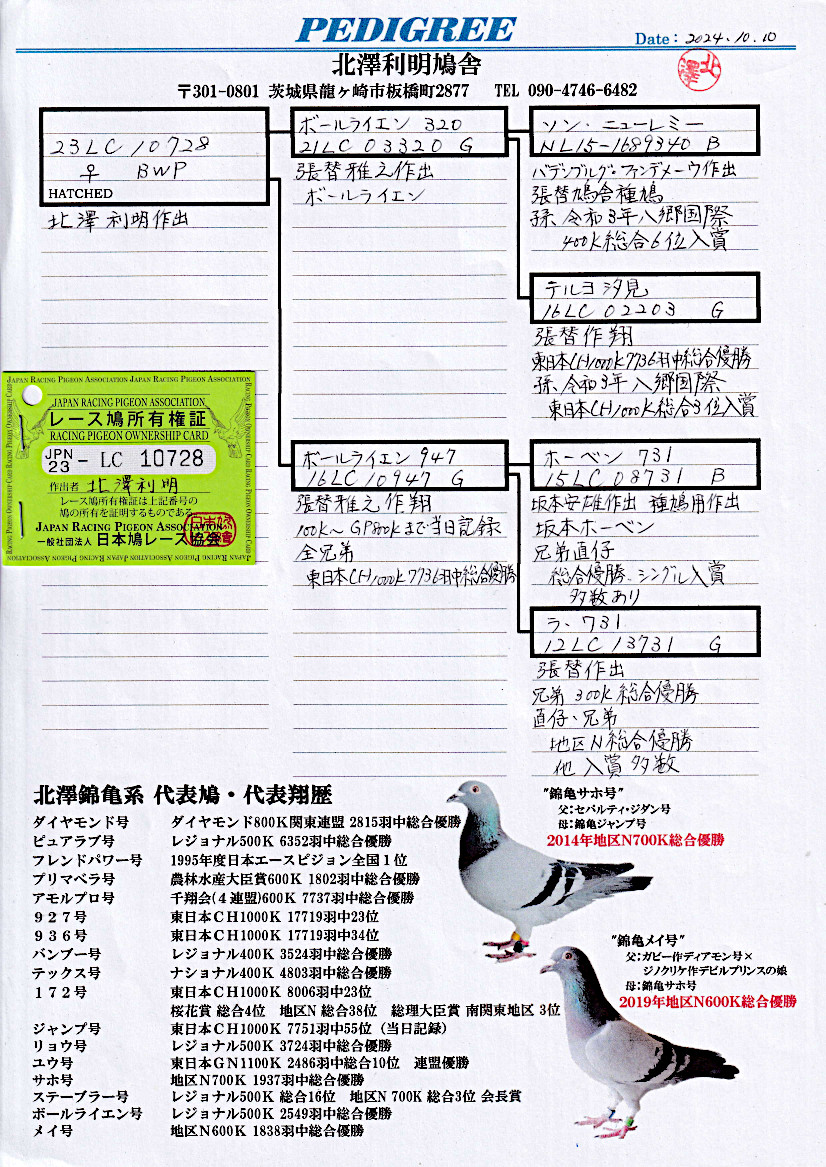 レース鳩モールオークション - 出品鳩「23LC10728 BWP