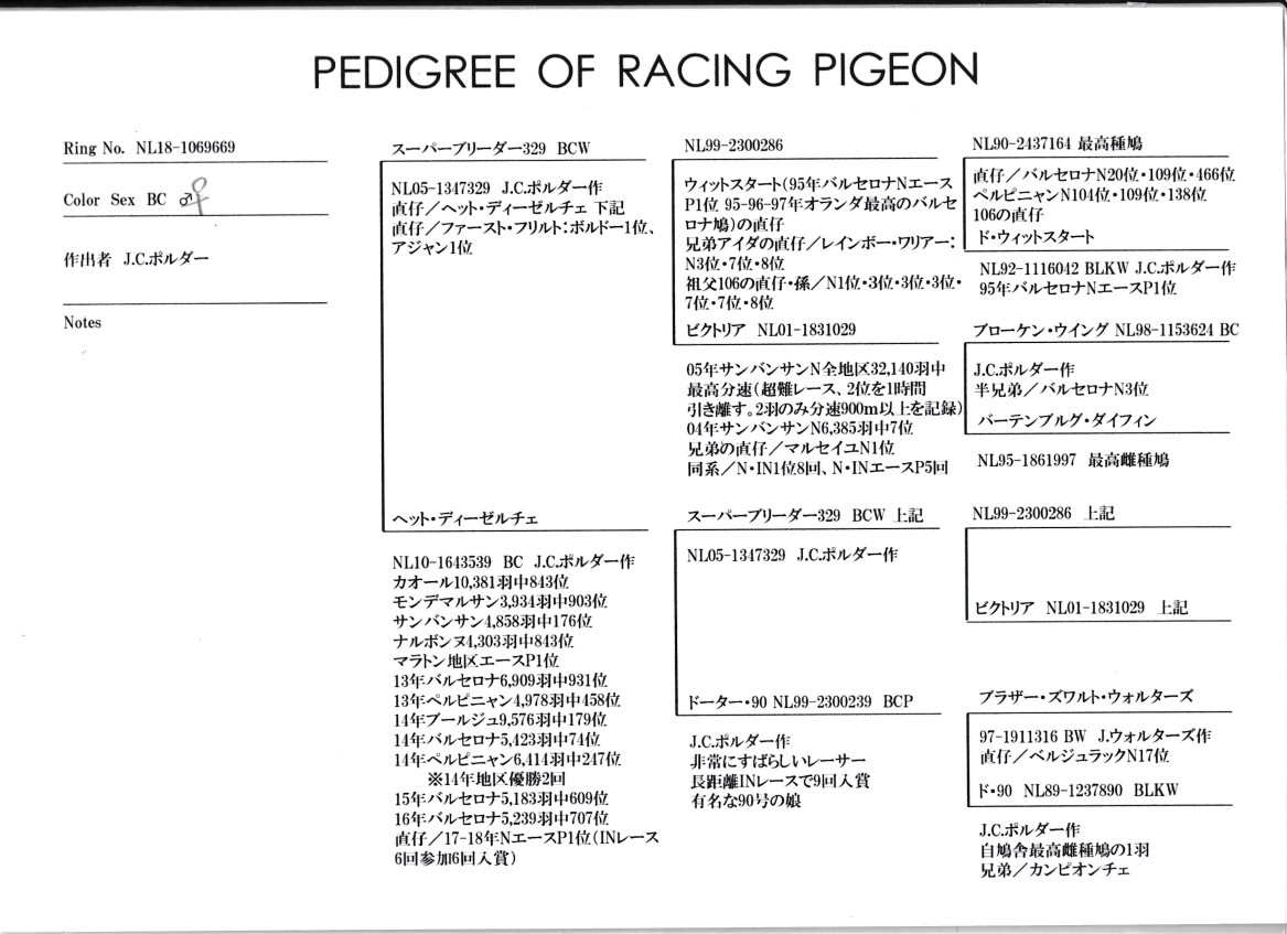 レース鳩モールオークション - 出品鳩♀18番「NL18