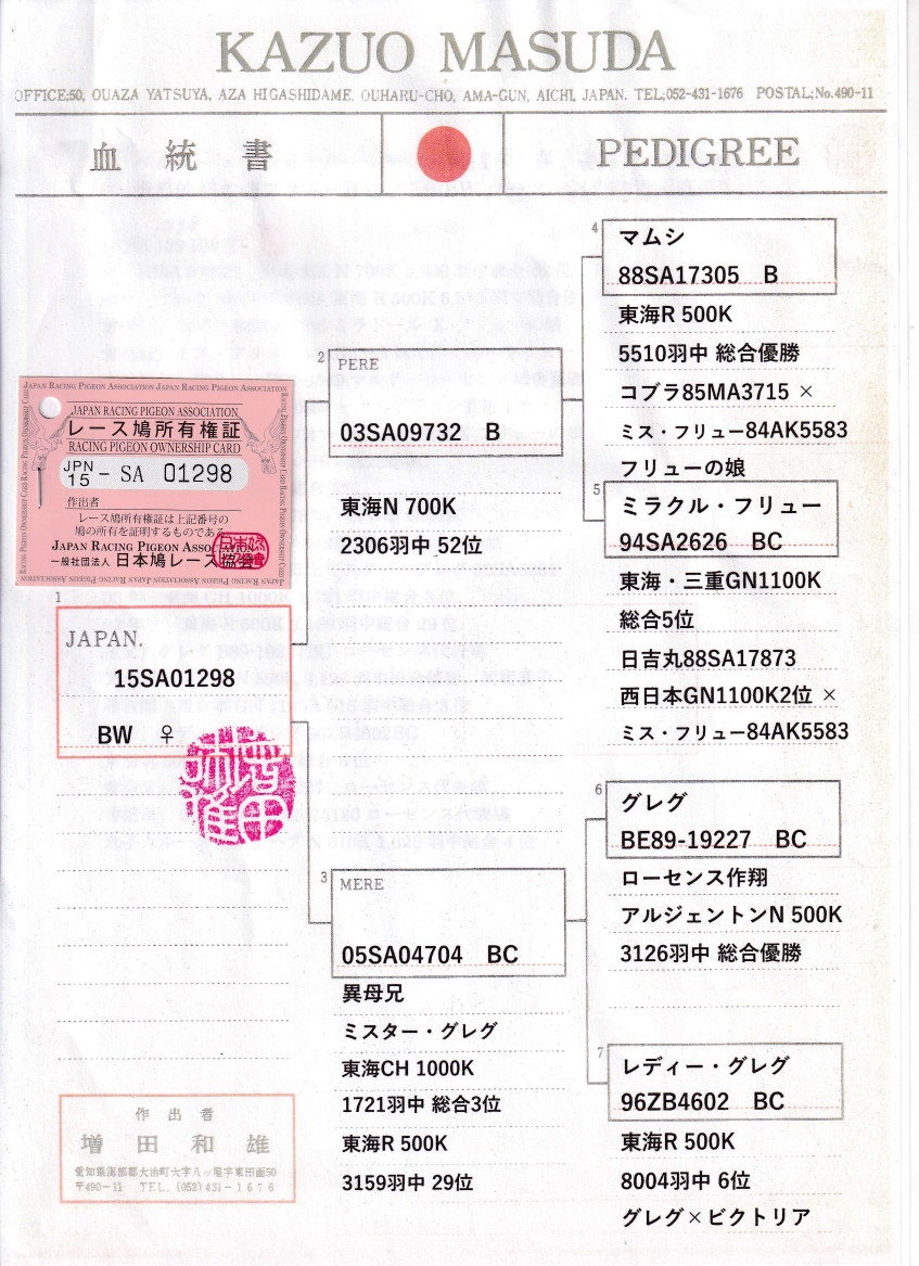 白水社『ふらんす』2019年4月～2020年3月号（2019年度分） 公式】ツリーランナーNZ (レディース)｜オールバーズ公式ストア