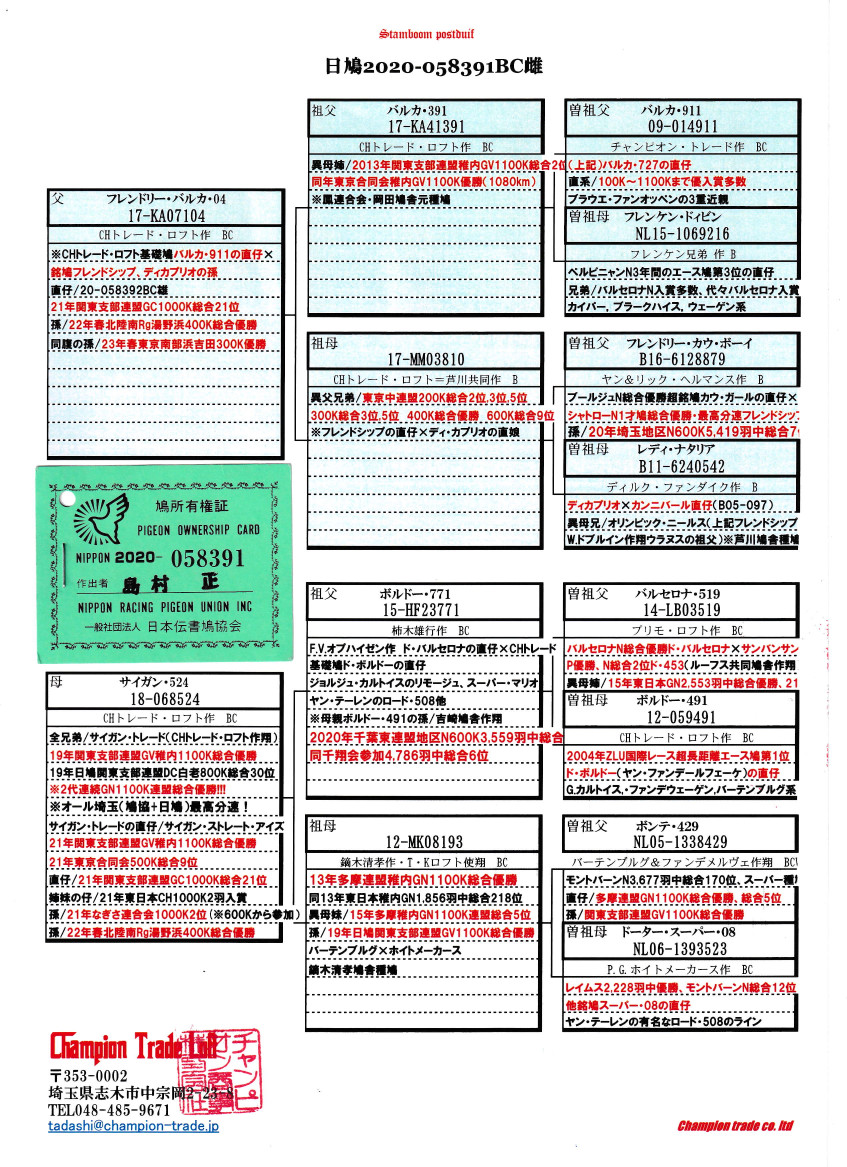 レース鳩モールオークション - 出品鳩「日20－058391 BC