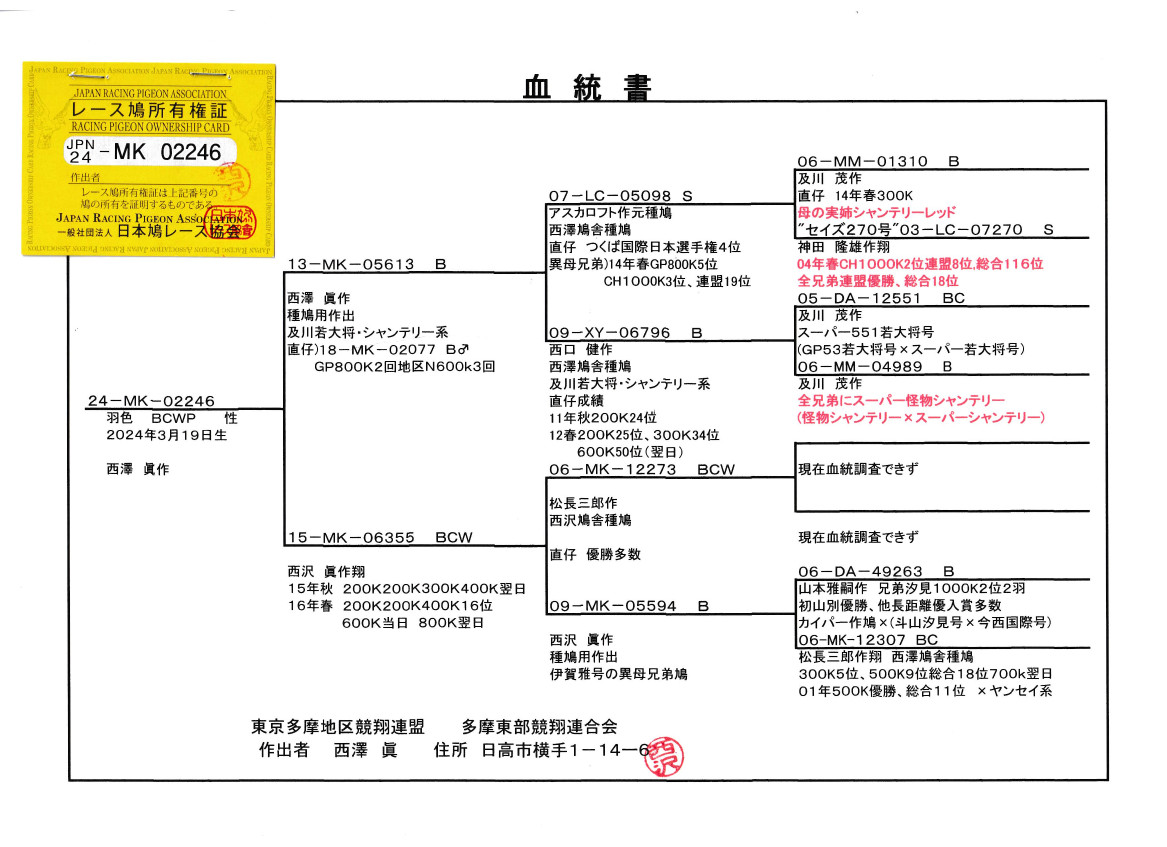 レース鳩モールオークション - 即決・出品鳩若26番