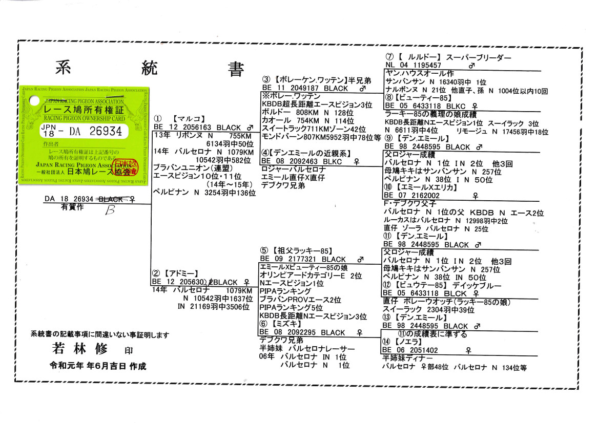 レース鳩モールオークション - 出品鳩「18DA26934 B♀」有賀