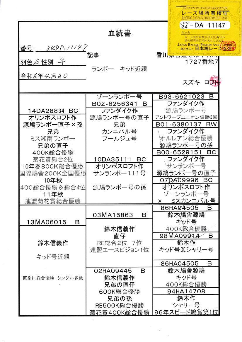レース鳩モールオークション - 出品鳩「24DA11147 B