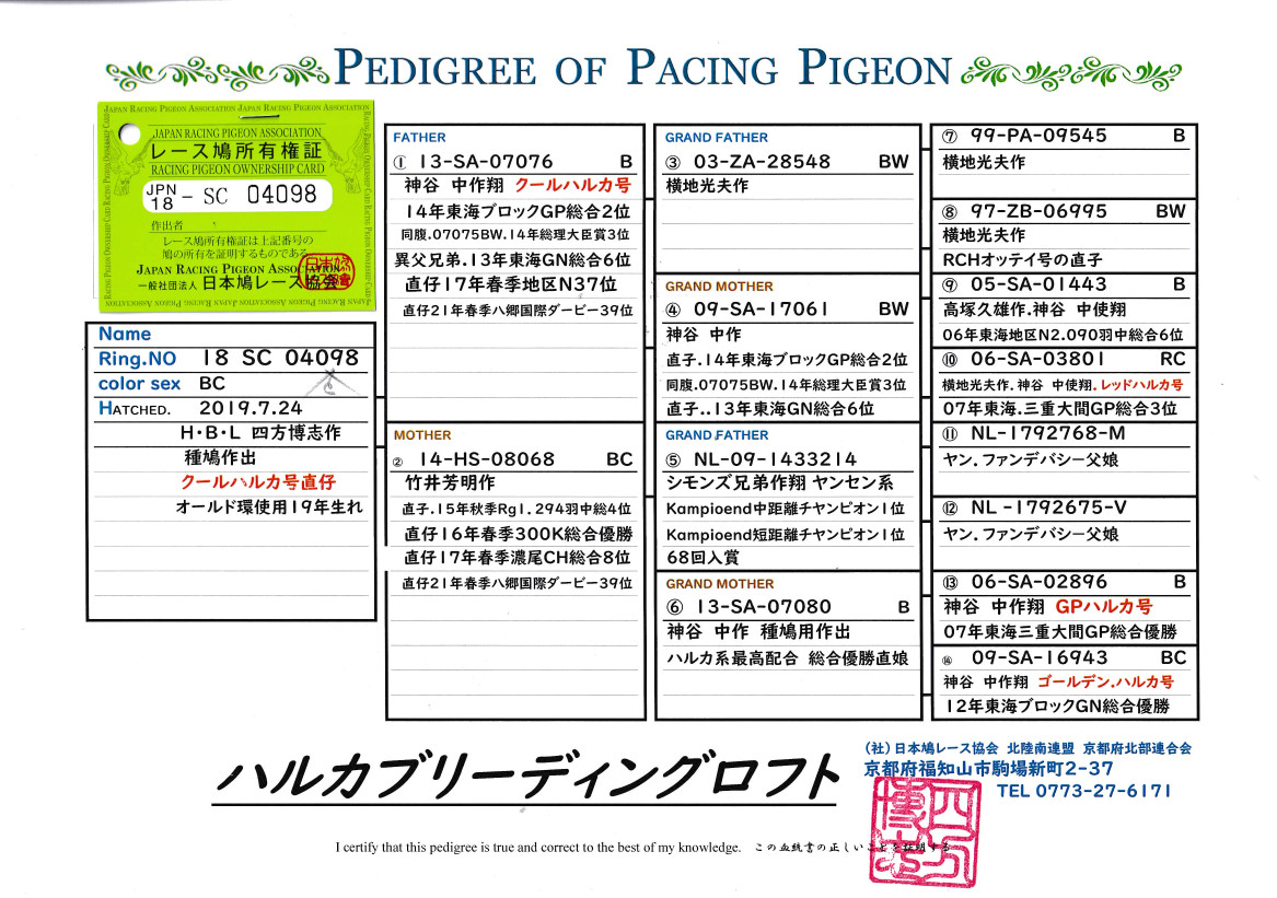 レース鳩モールオークション - 出品鳩♂2番19年生 レース鳩モールオークション - 出品鳩♂2番19年生