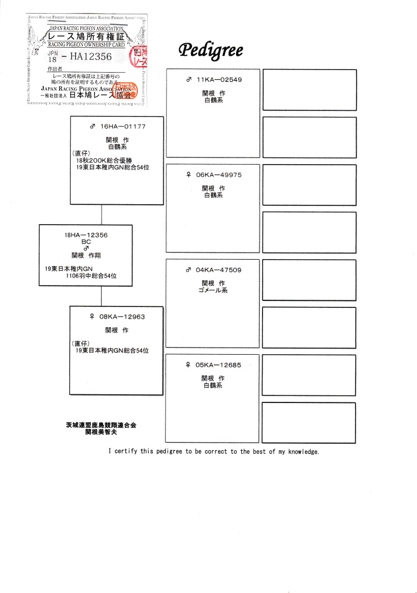 レース鳩モールオークション - 出品鳩♂8番「18HA12356 BC