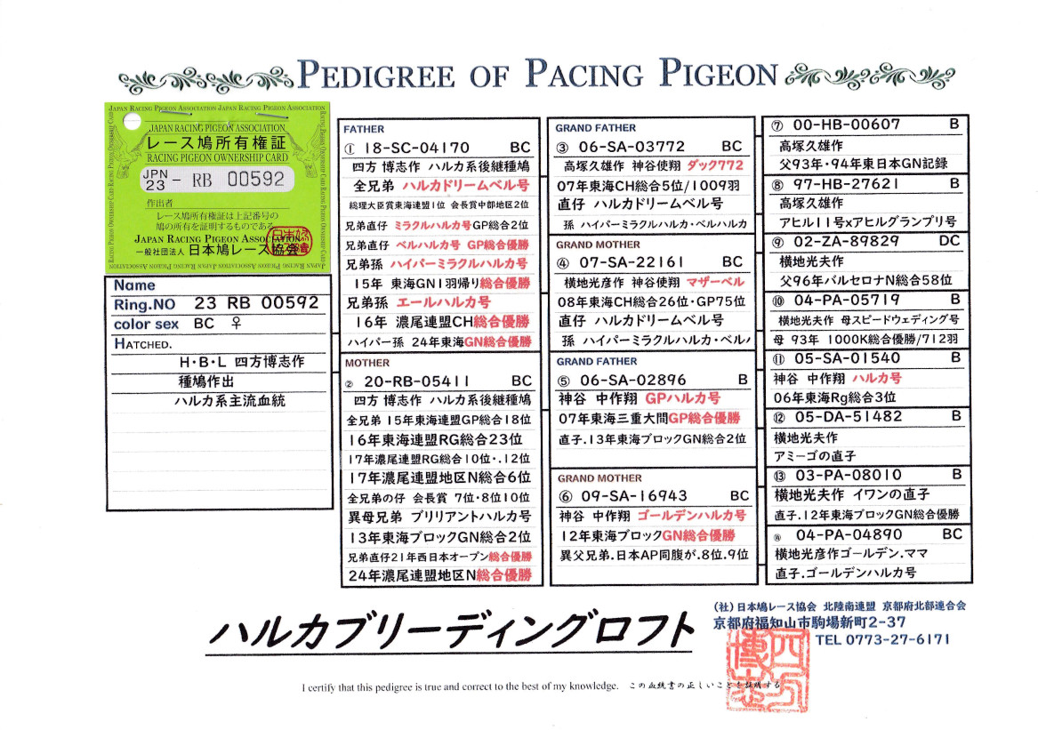 レース鳩モールオークション - 出品鳩♀67番