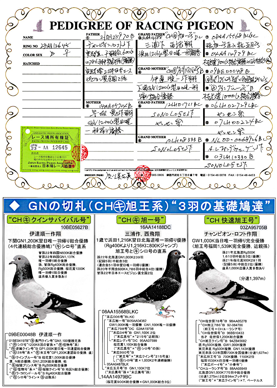 ～鴉～出品 鳥×フラワー刺繍タックパンツ | outlet | axes femme online shop