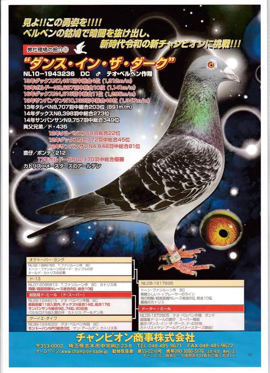 レース鳩モールオークション - 出品鳩♀43番「19XA07176 BC