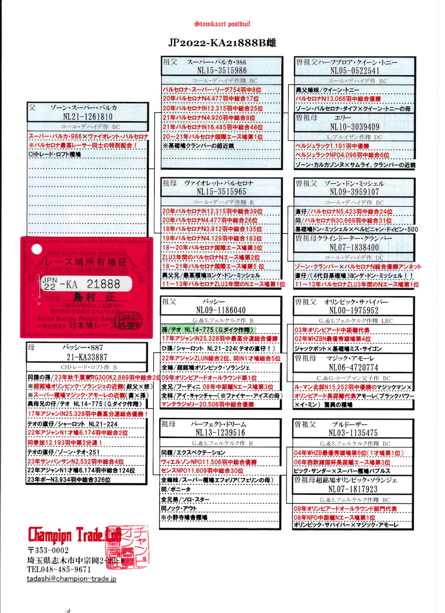 レース鳩モールオークション - 出品鳩♀89番「22KA21888 B