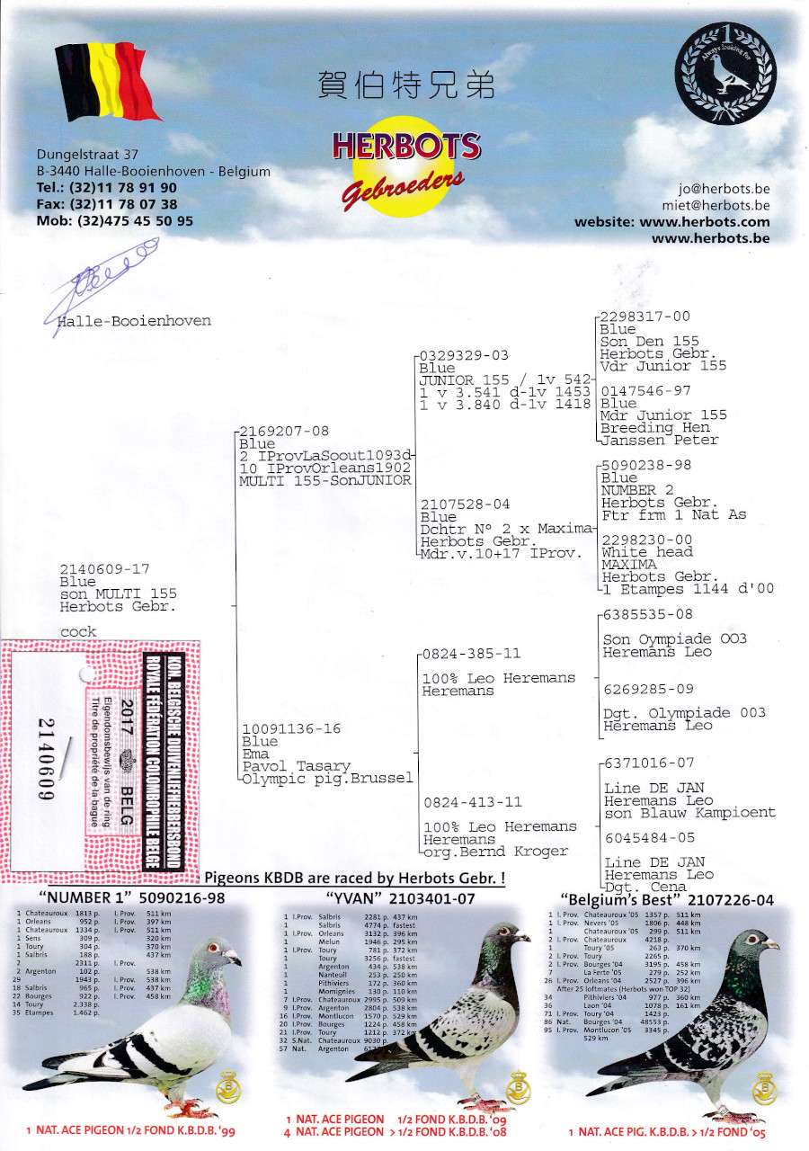 【03鳩ページ①】 レース鳩モールオークション - 出品鳩「B17－2140609 B