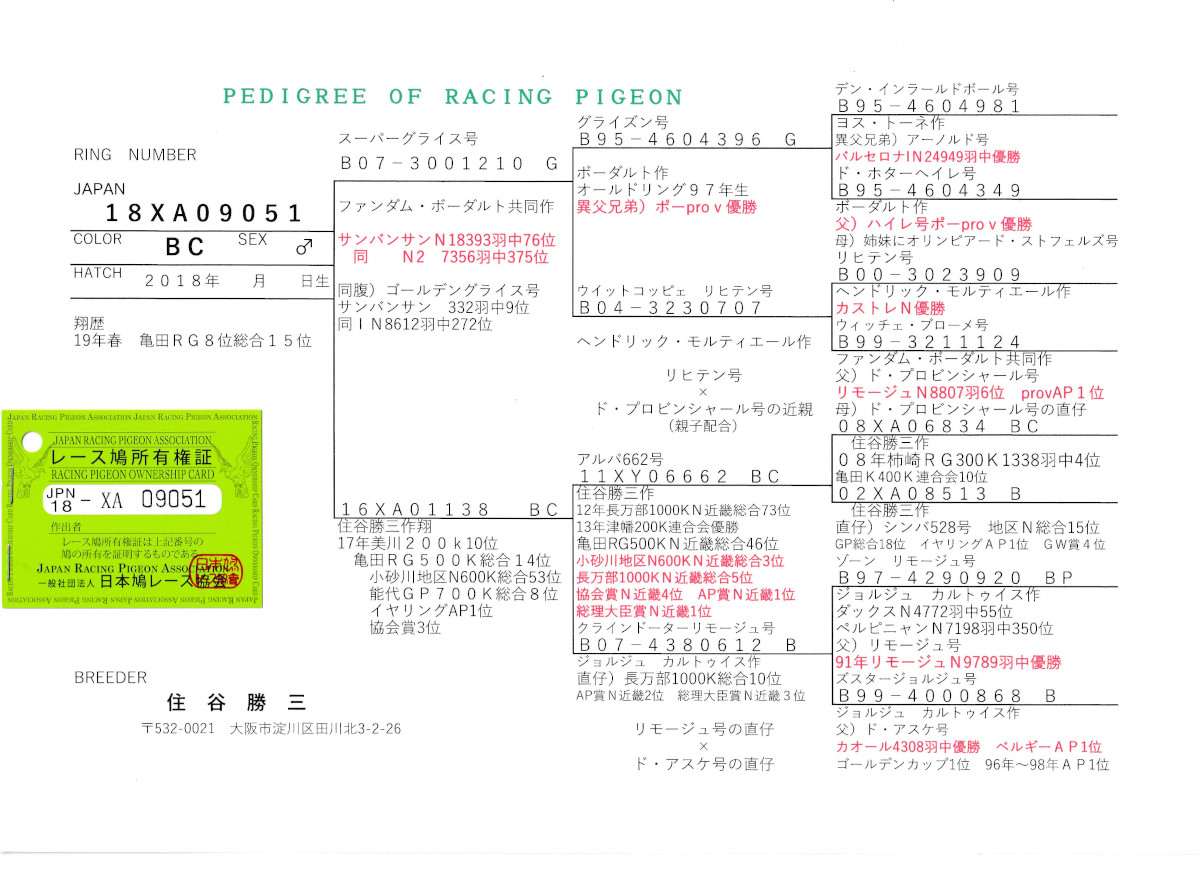 レース鳩モールオークション - 出品鳩♂47「18XA09051 BC