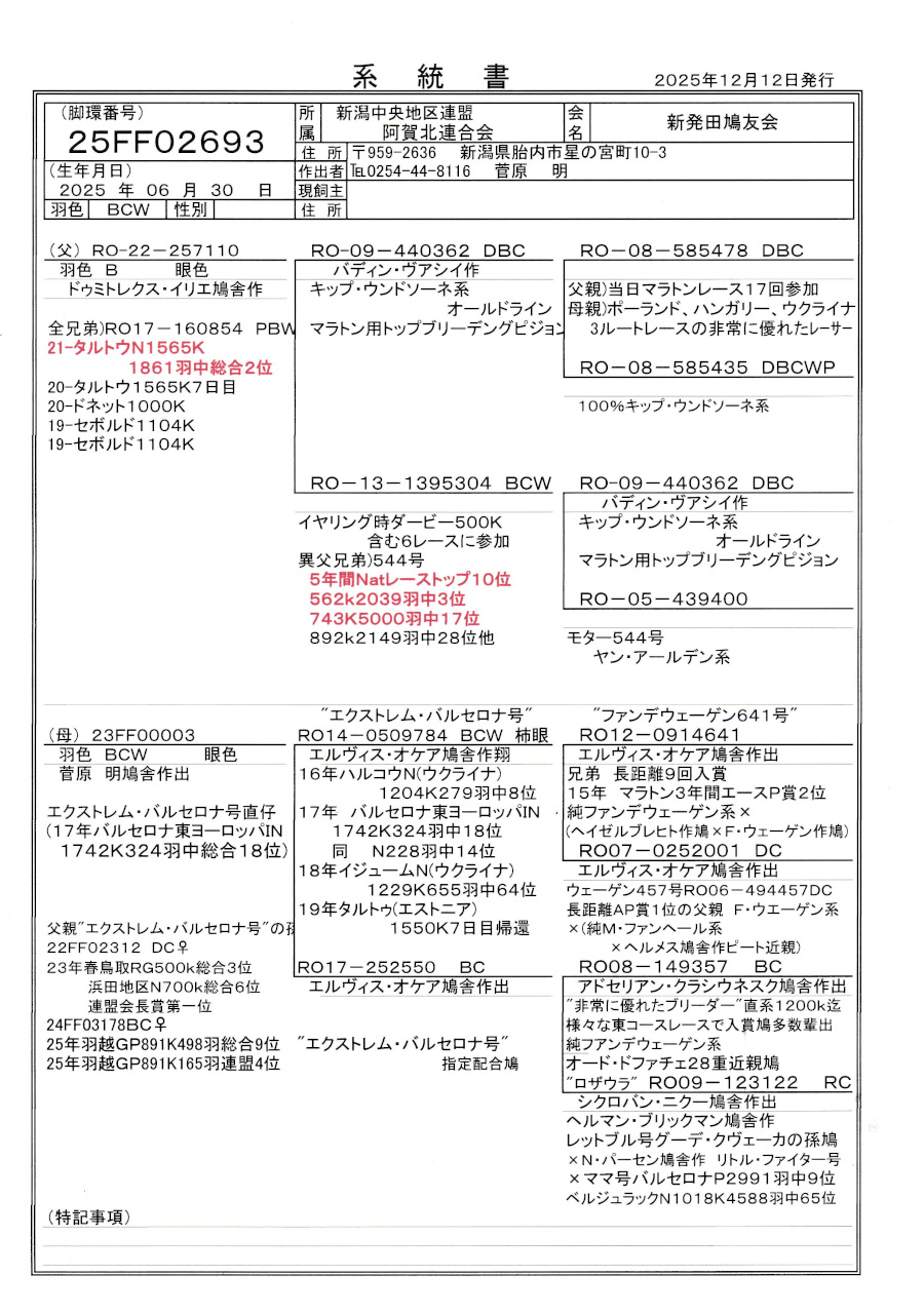 レース鳩モールオークション - 出品鳩「25FF02693 BCW」菅原